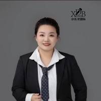 主持人 元宝
