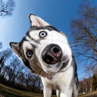 摄像师 美橙文杰