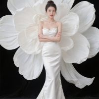 主持人 小雅姐姐