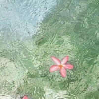 主持人邓与左颜