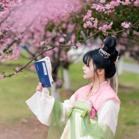 摄影师一只小蚂蚁