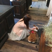 化妆师小卷
