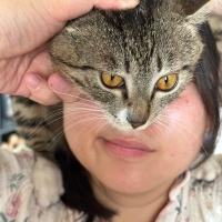 喜娘倩倩