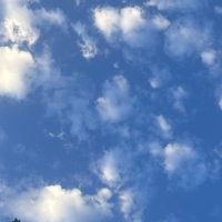 策划师龙虾