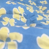 音响师王金刚