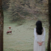 摄影师灿