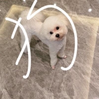 摄影师孔