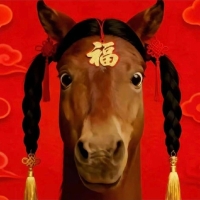 摄像师庞