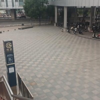 主持人陈阳