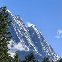 主持人苏