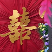 摄像师王中玮