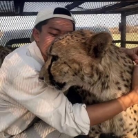摄影师昭阳