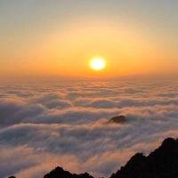 督导师沧沧