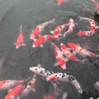摄影师大志