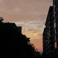 策划师月影