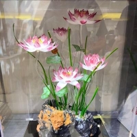 主持人吕