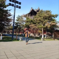 主持人冯先生