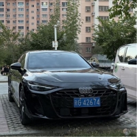 车队奥迪车队