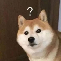 主持人园园