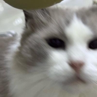 摄影师晓梦