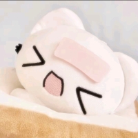 主持人舒美文