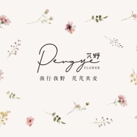 策划师耶耶