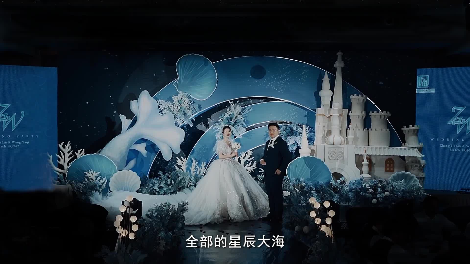 视频作品