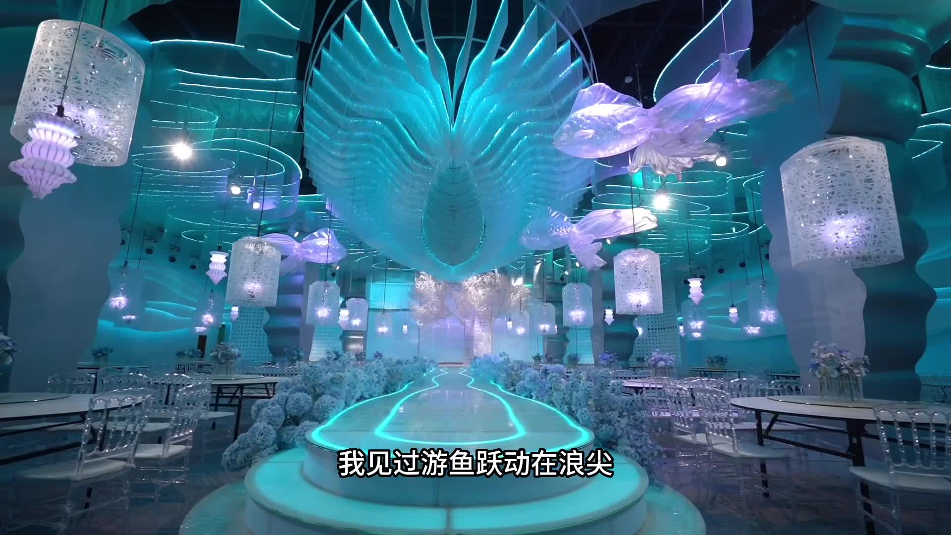 视频作品