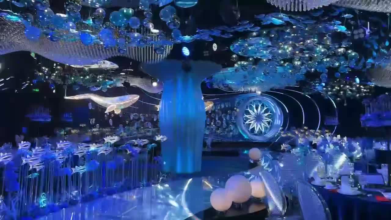 视频作品