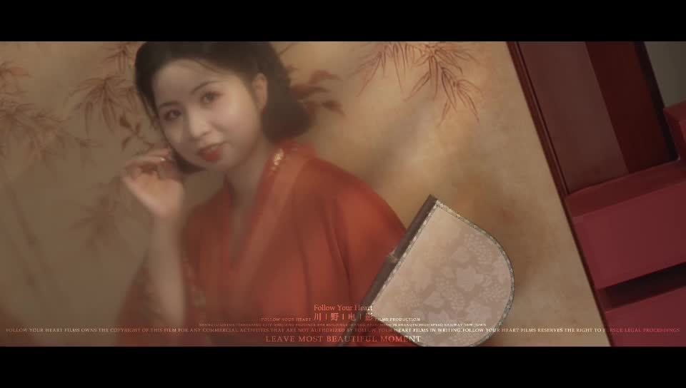 视频作品