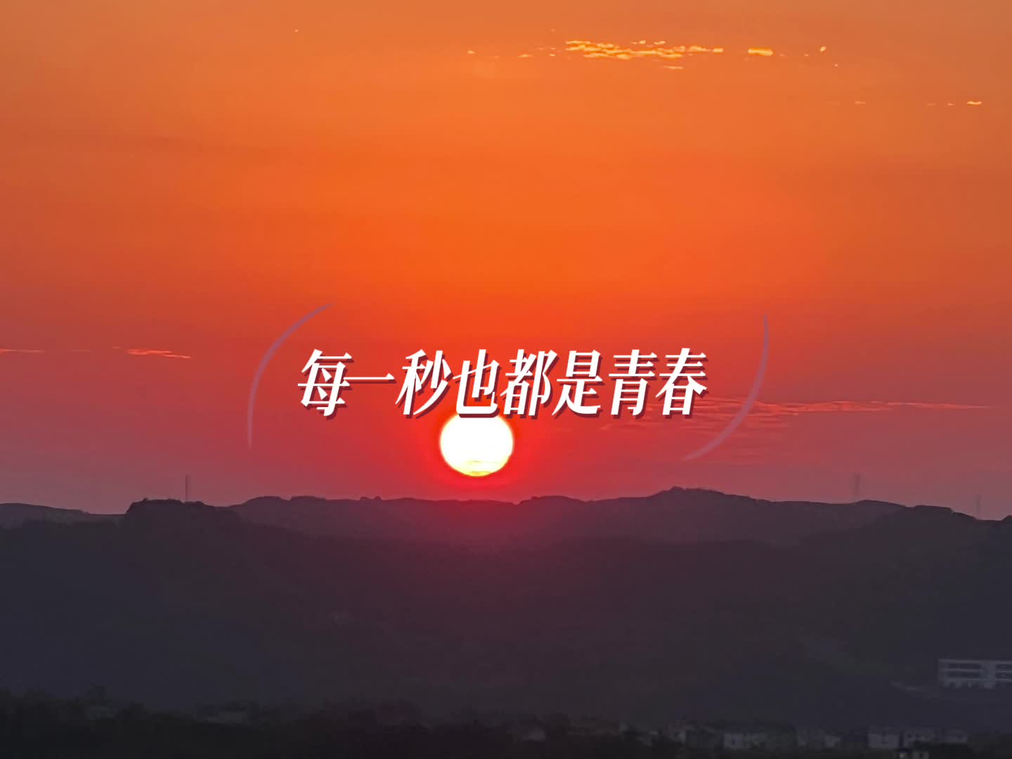视频作品