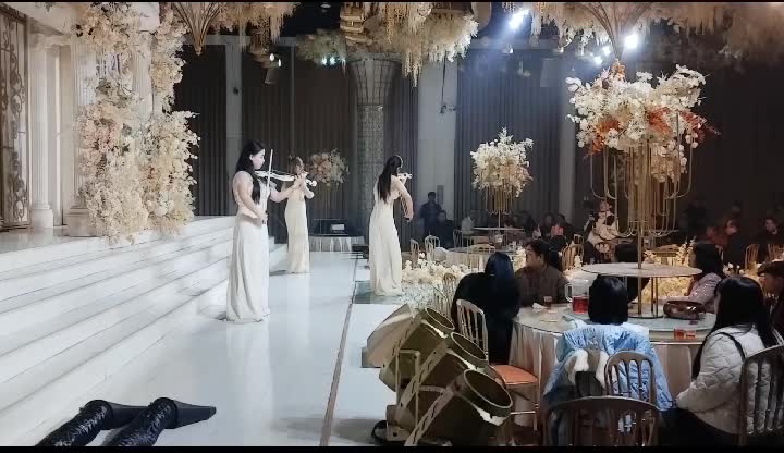 视频作品