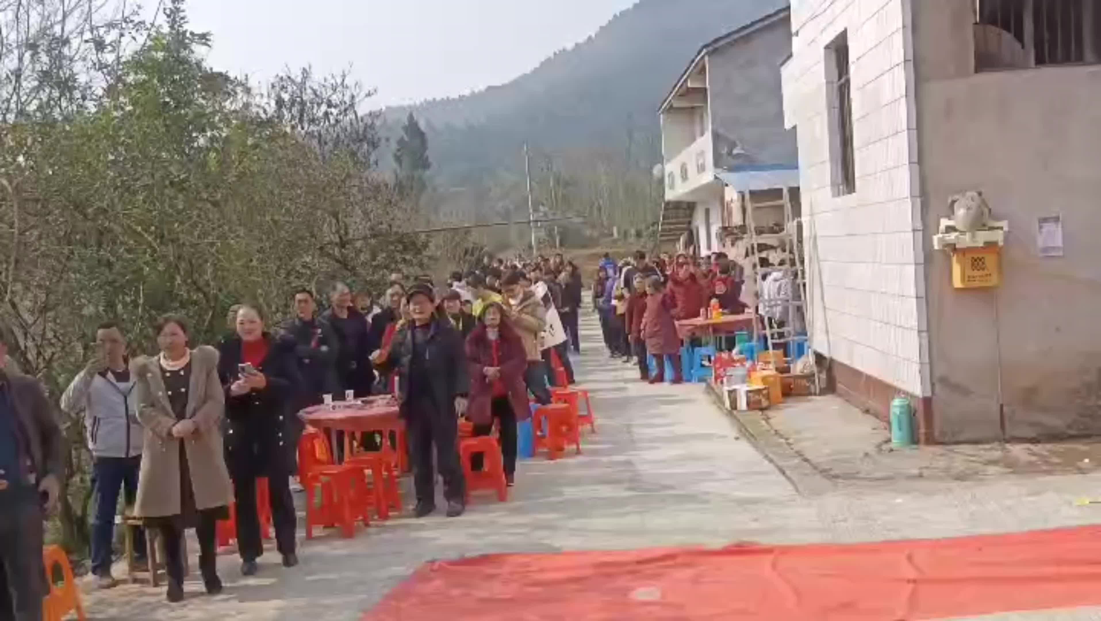 视频作品