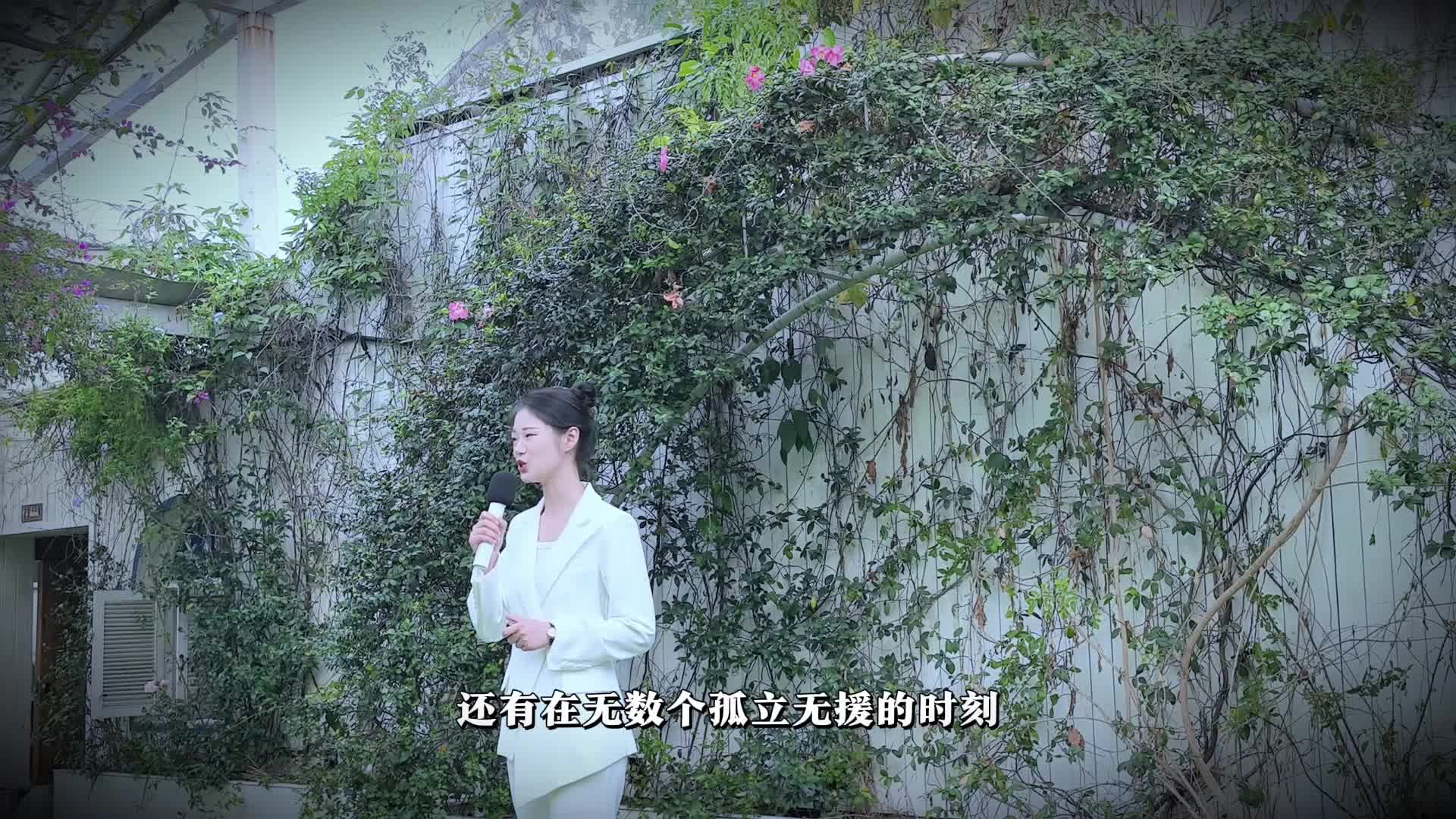 视频作品