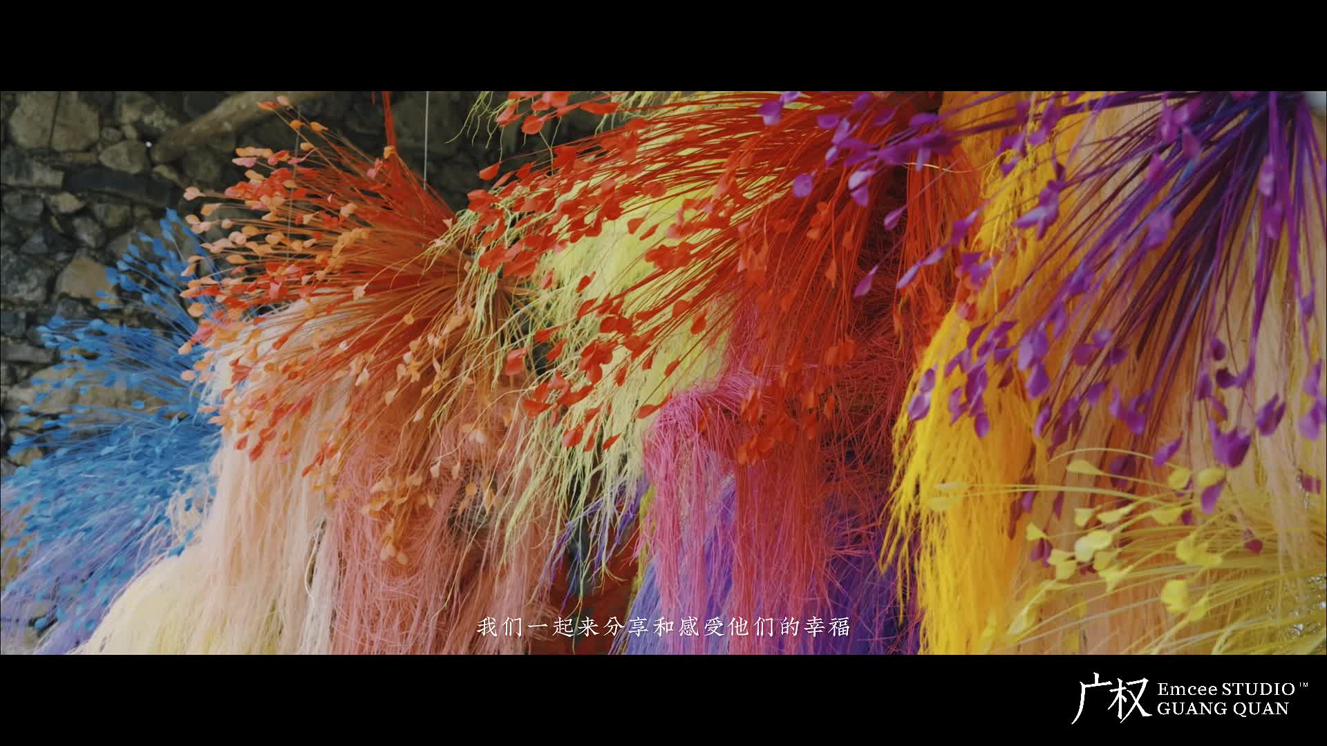 视频作品