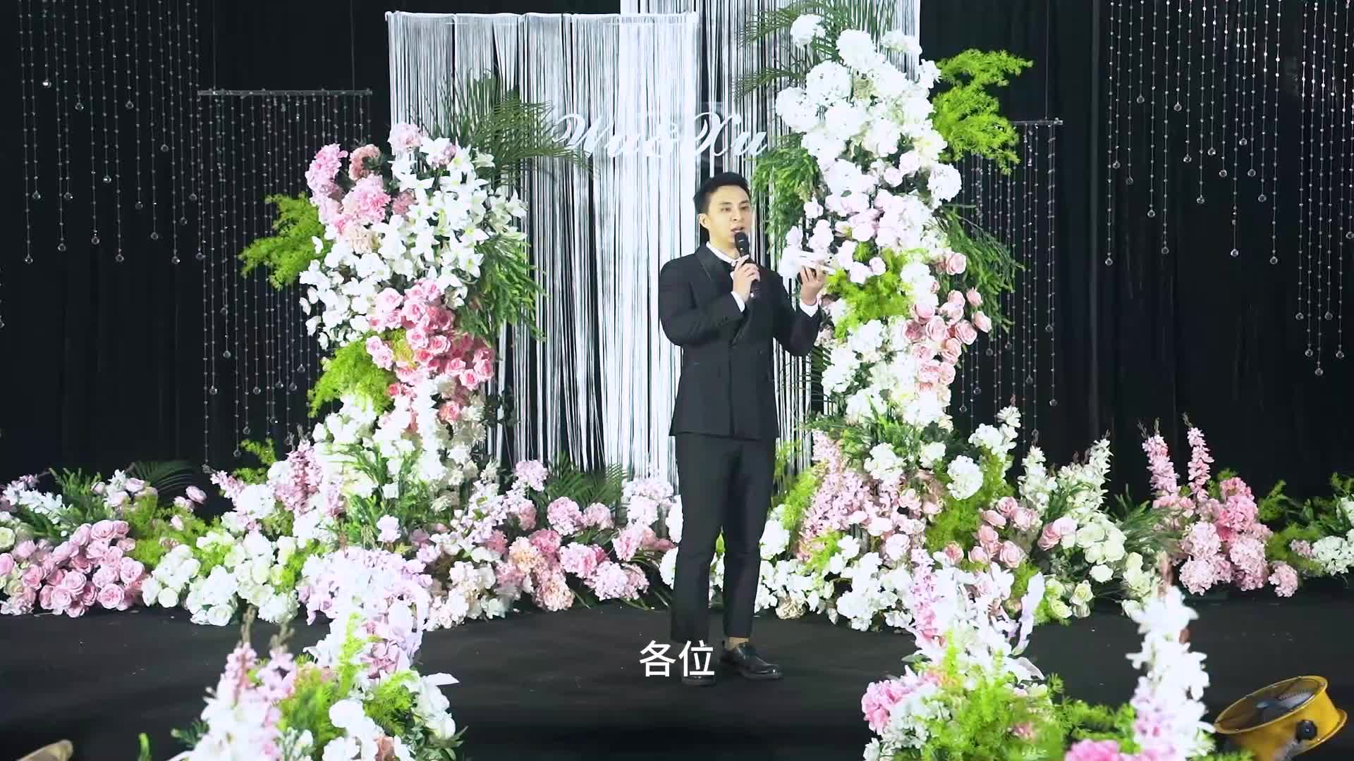 视频作品