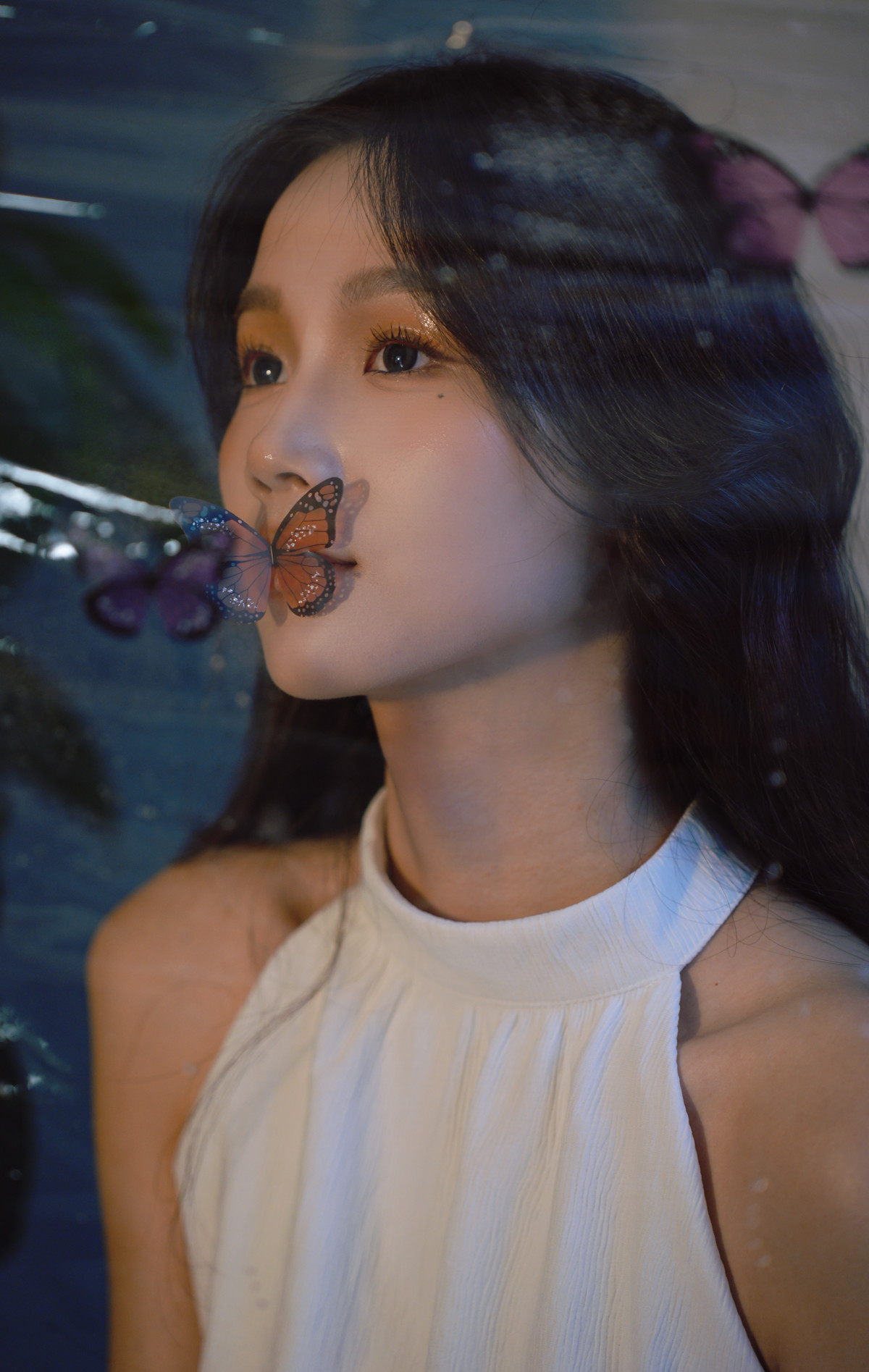 动态