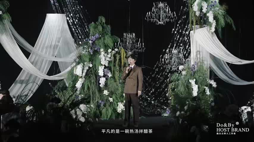 视频作品