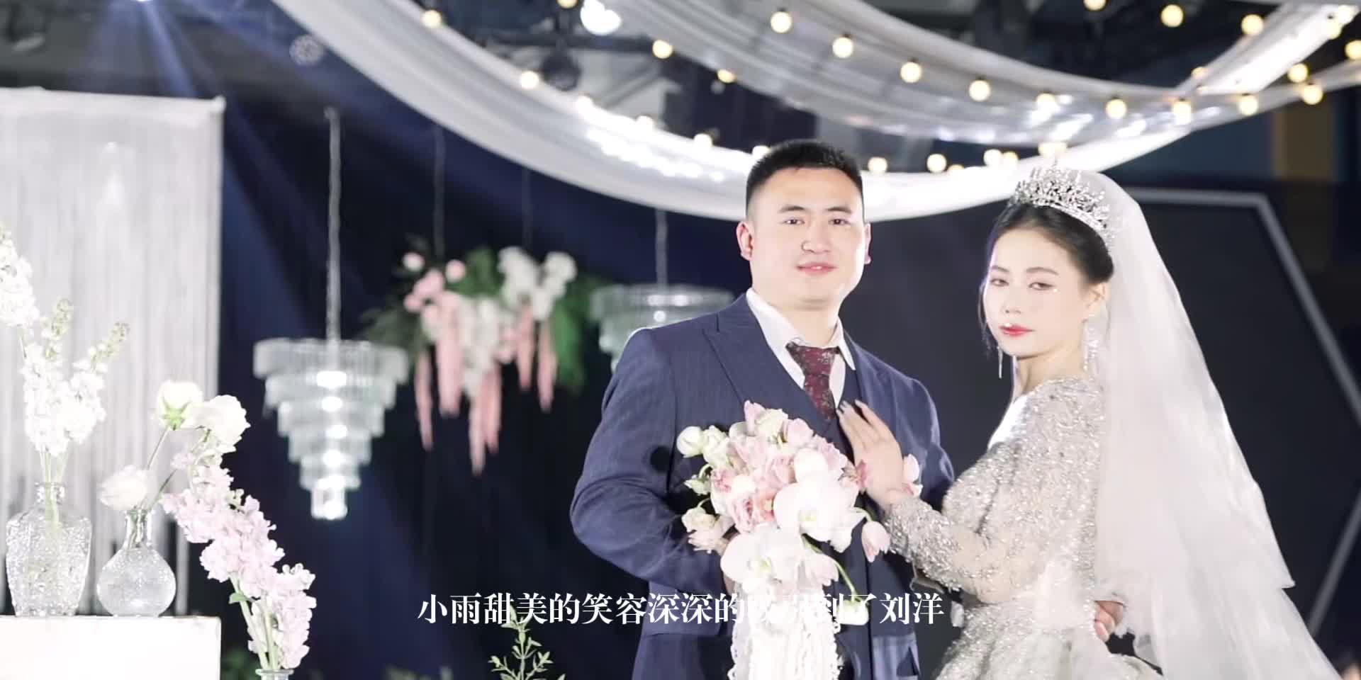 视频作品