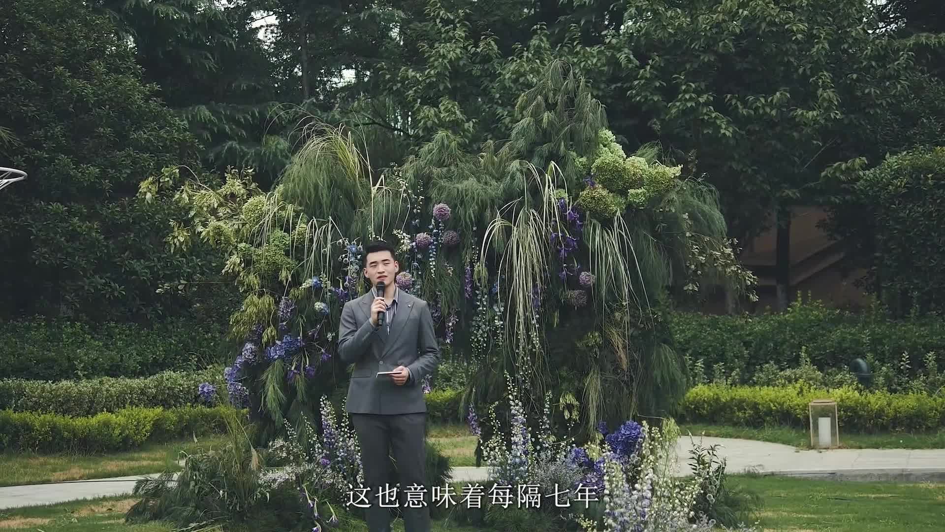 视频作品