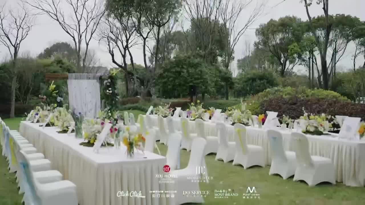 视频作品