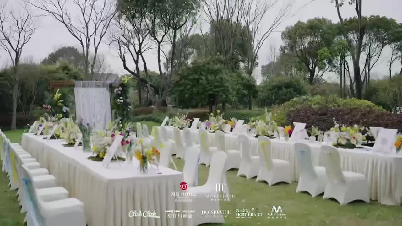视频作品