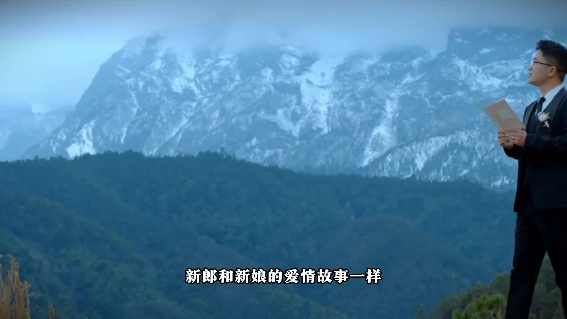 视频作品