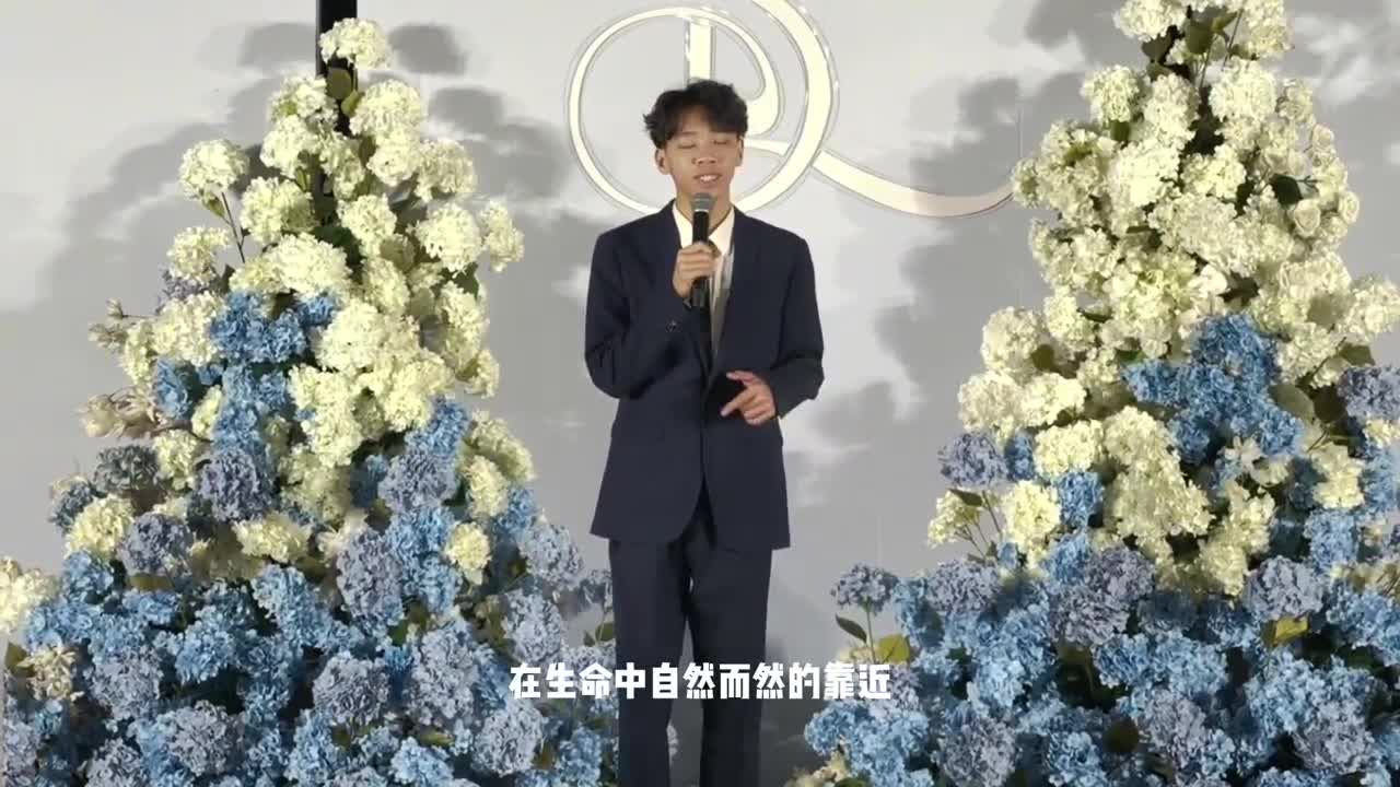 视频作品