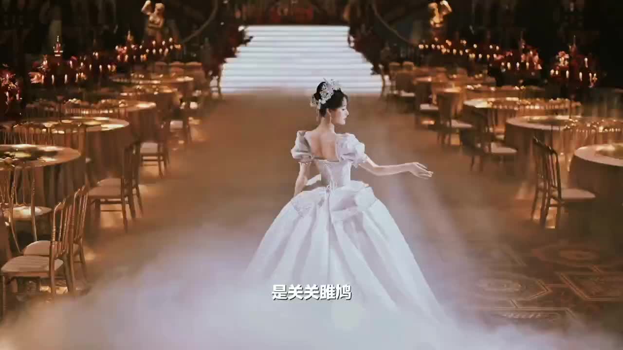 视频作品