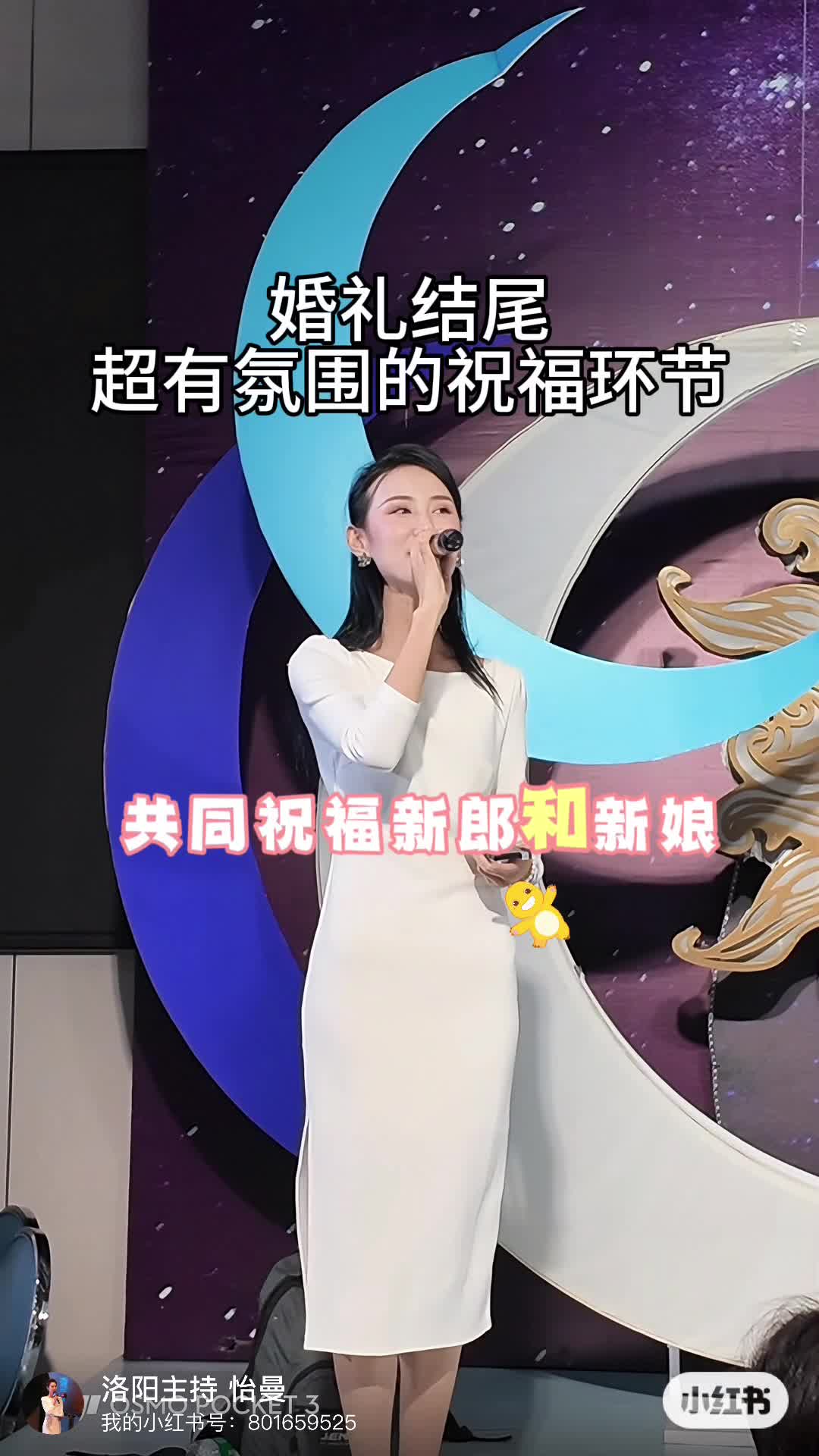 视频作品