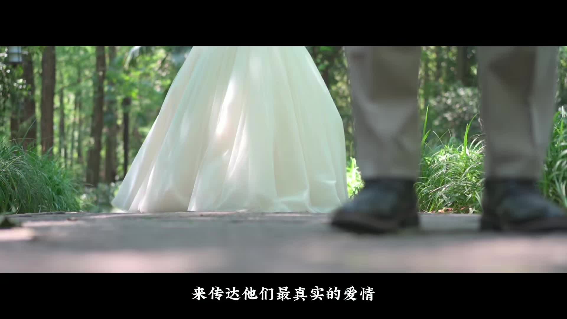 视频作品