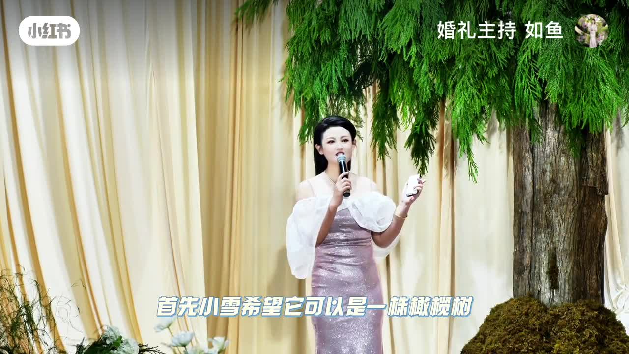 视频作品