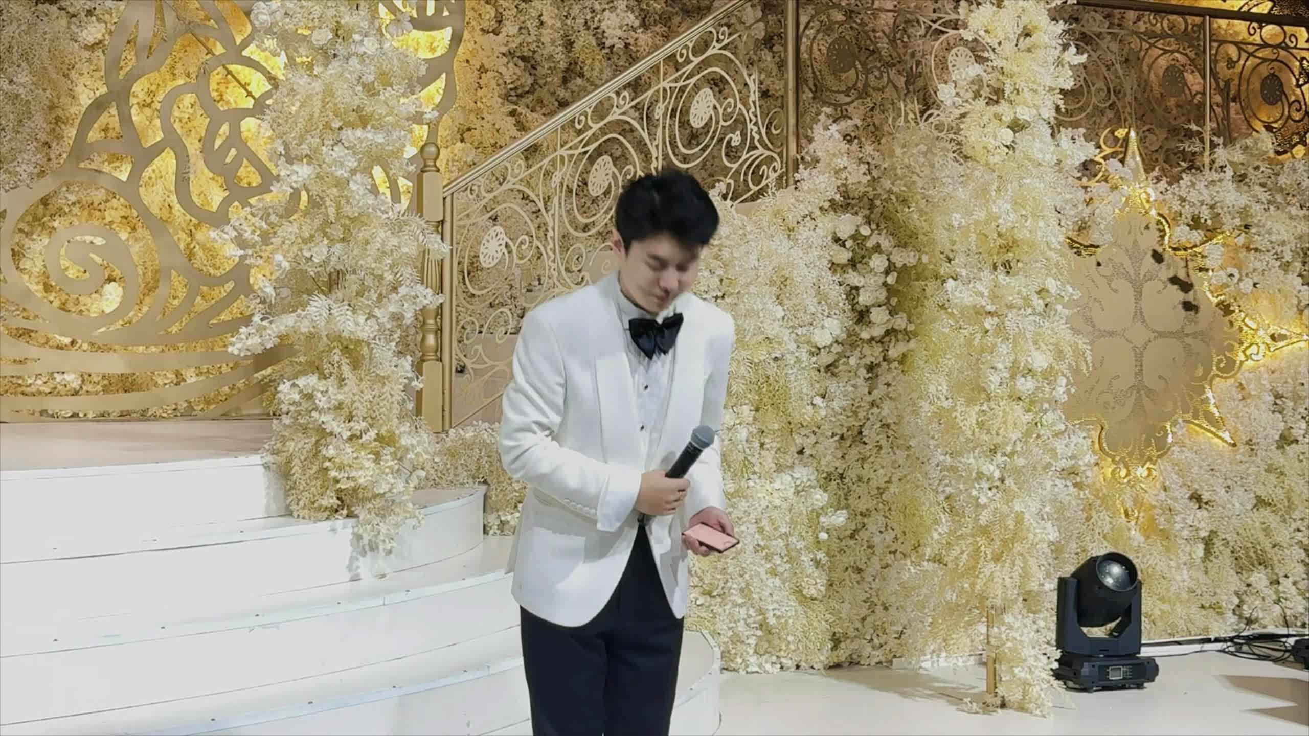 视频作品