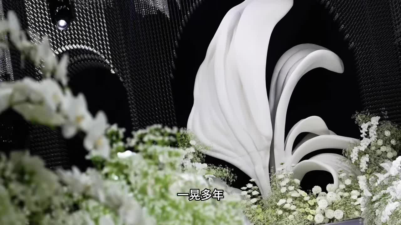 视频作品